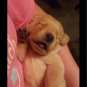 Meet your Posher, Ava